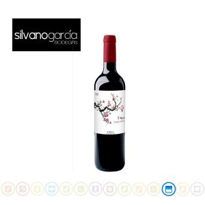 Caja de 6 botellas de Vino 4 meses, Bogedas Silvano García