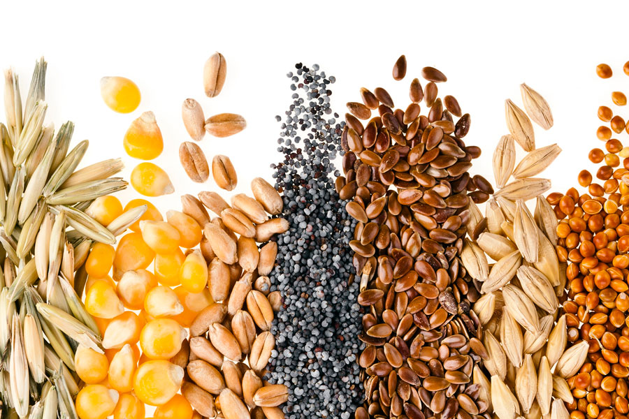 Comprar semillas online - Alacena de la Vega
